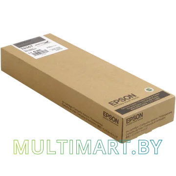 Картридж Epson C13T636700